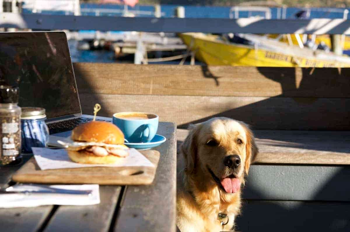 Dozer Boat Shed Palm Beach