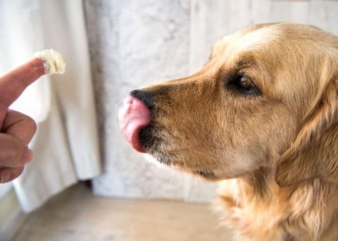 Dozer Mini Nutella Cheesecakes_3