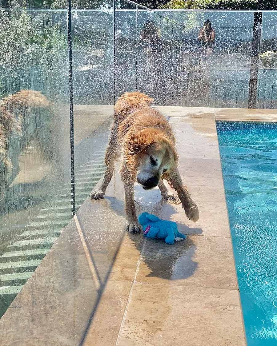 Shared belly Dozer less water spray