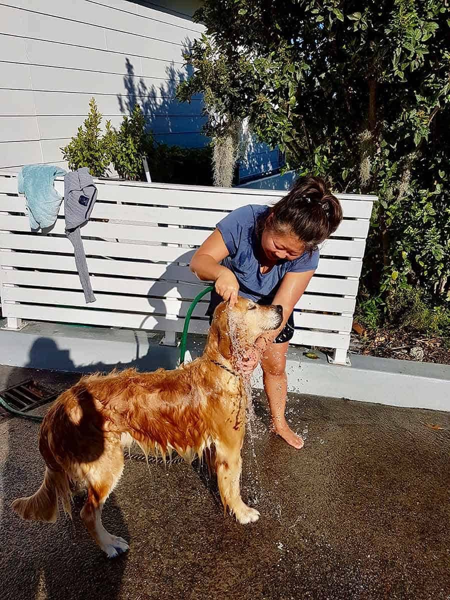 Dozer being hosed down Bannisters Port Stephens