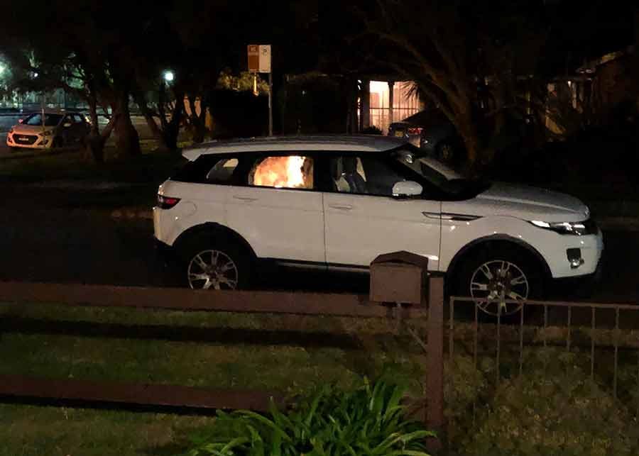 Dozer the golden retriever dog night food delivery