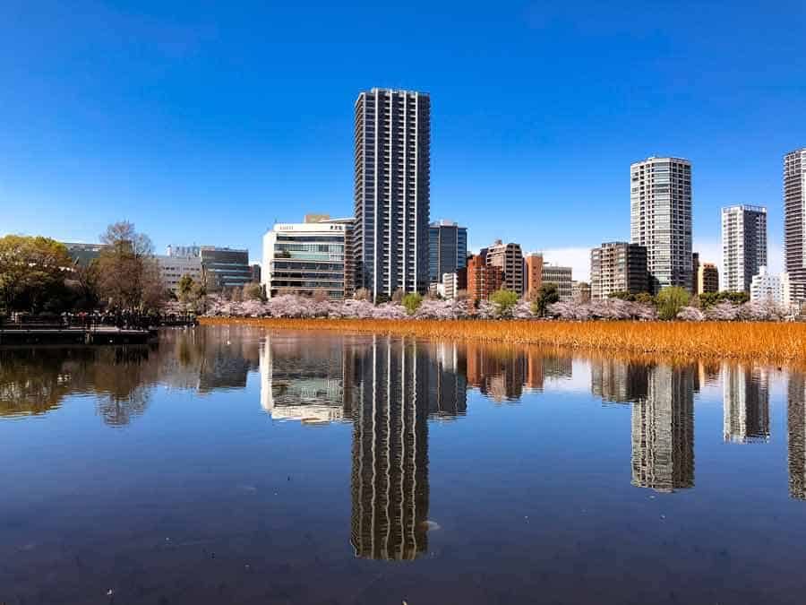 Ueno Shinobazu Pond - Ueno Park