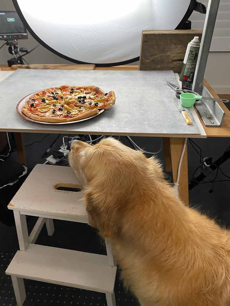 Dozer the golden retriever pizza