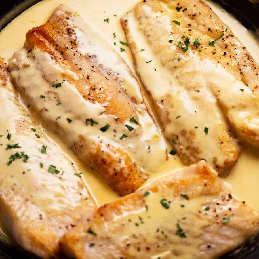 Freshly cooked fish with white wine sauce