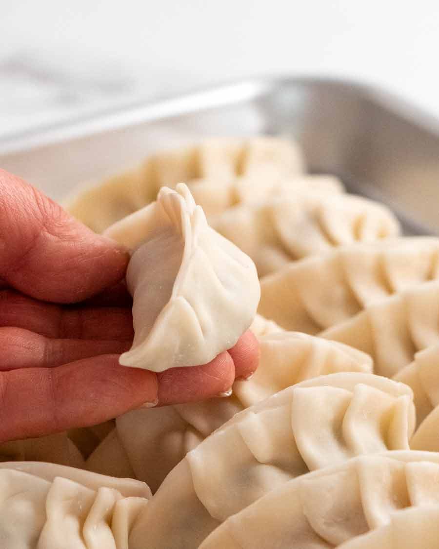 Hand holding uncooked Vegetable Dumplings (Potstickers)